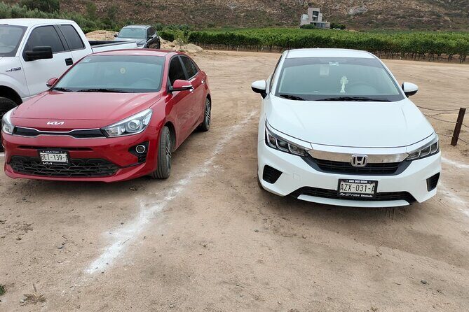 8 Hour Private Tour in the Guadalupe Valley 1-4 Passengers - FAQ