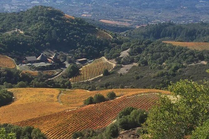 8-Hour Private Wine Tour Experience for up to 6 Guests - San Francisco to Sonoma - Who Should Book This Tour?