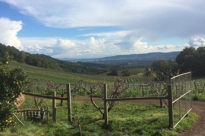 8-Hour Private Wine Tour Experience for up to 6 Guests - San Francisco to Sonoma - FAQ