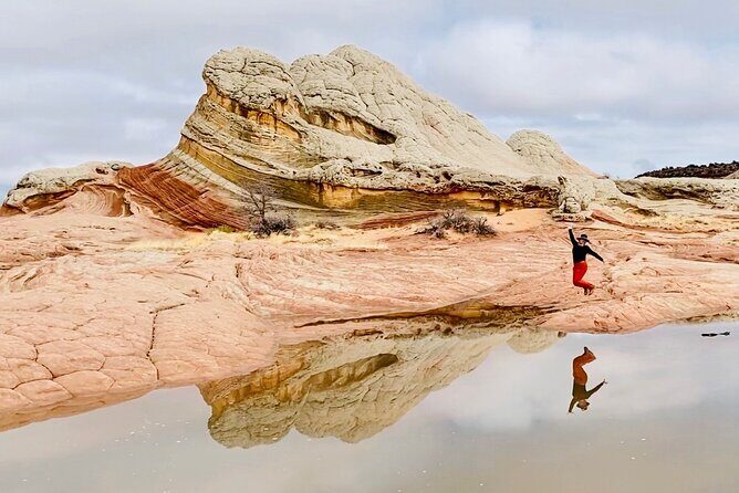 8 Hour White Pocket UTV or 4WD Tour! Starting at $215 per person! - An In-Depth Look at the White Pocket Tour