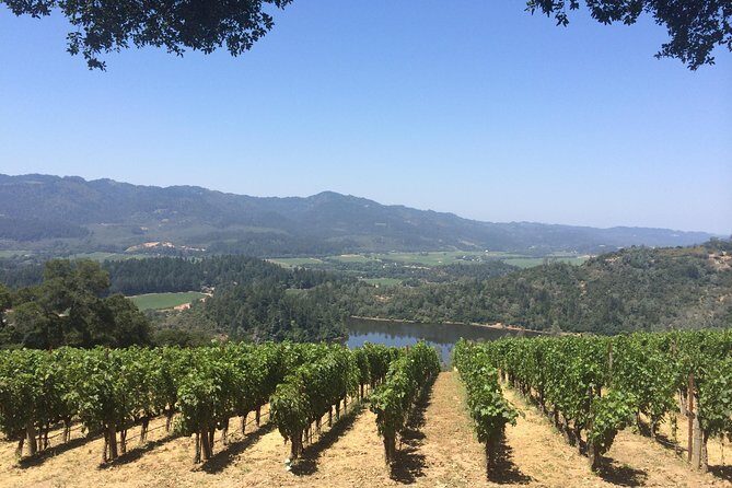8-Hours Private Limo(up to 8 pass.) Wine Tour of Napa Valley from San Francisco - Is It Worth the Cost?