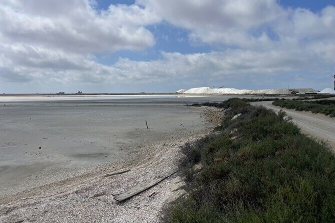 8 Hours Visit to the Camargue and the Salins dAigues-Mortes - What to Expect from the Tour