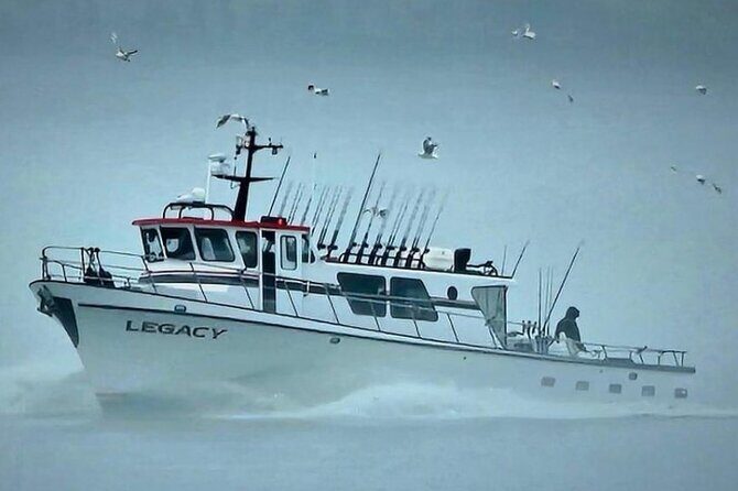 8hr Kenai Fjords Whale Watching Tour w/ 1hr Fishing 16 Passengers - A Closer Look at the Tour