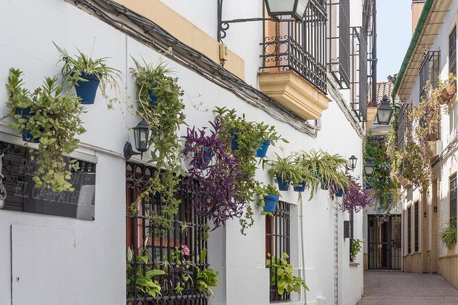 9-day Tour: Madrid, Andalusia, Valencia & Barcelona from Madrid - The Itinerary in Detail