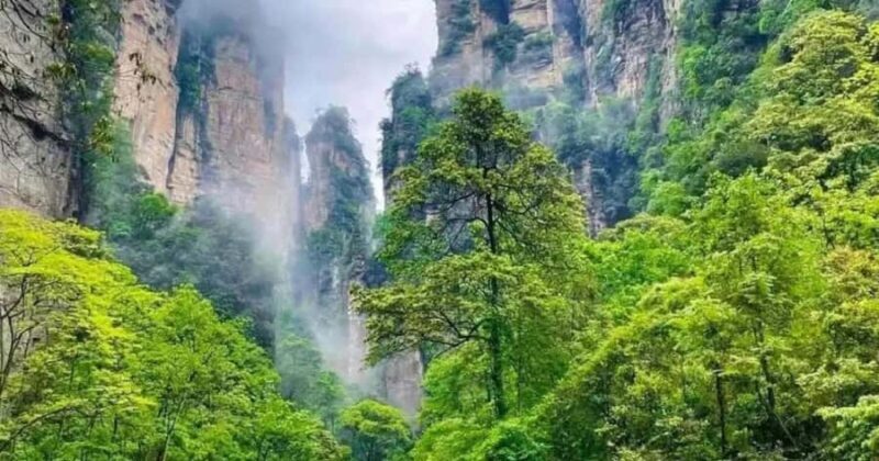 9-Day Tour Through Wudang,Chengdu,Dujiangyan&Zhangjiajie - From Pandas to Zhangjiajie’s Pinnacles