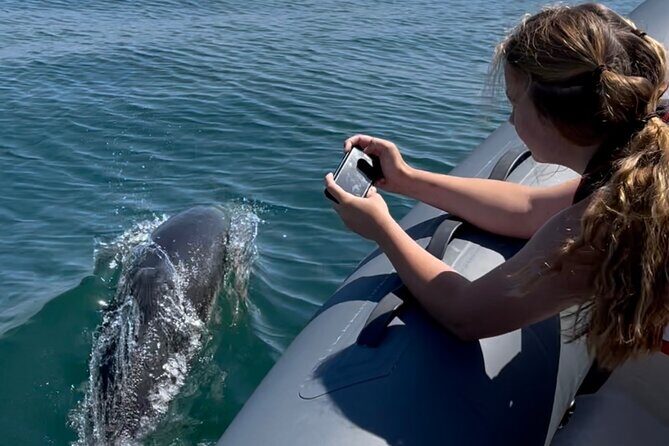 90 Minute Coastal Explorer in Torquay - What to Expect from the Coastal Explorer