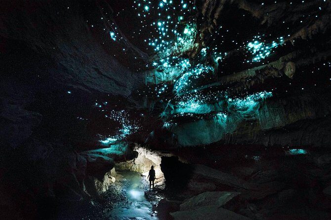90-Minute Guided Ruakuri Cave Tour Waitomo - What to Bring and Tips