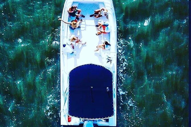 90 Minute Hilton Head Dolphin Tour - Who Should Consider This Tour?