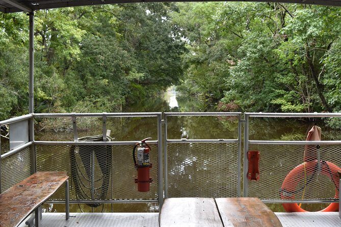 90-Minute Jean Lafitte Swamp and Bayou Tour with Transportation - Who Will Love This Tour?