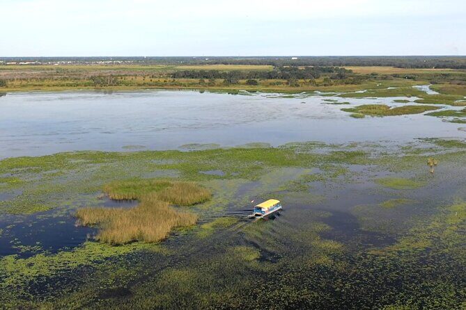 90 Minute Pontoon Cruise in Florida - What to Expect from the 90 Minute Pontoon Cruise