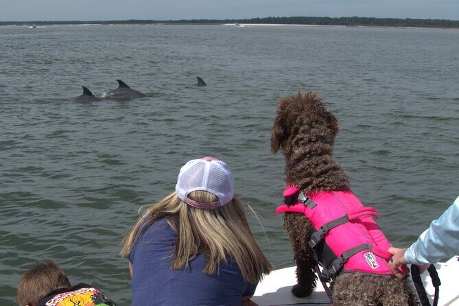 90-Minute Private Dolphin Tour in Hilton Head Island - Why You Might Love This Tour