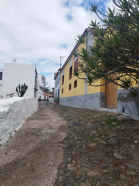 90-minute walking tour overlooking Barranco Ruiz, Tenerife - A Closer Look at the Experience