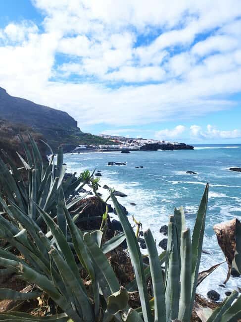 90-minute walking tour overlooking Barranco Ruiz, Tenerife - What to Expect During the Tour
