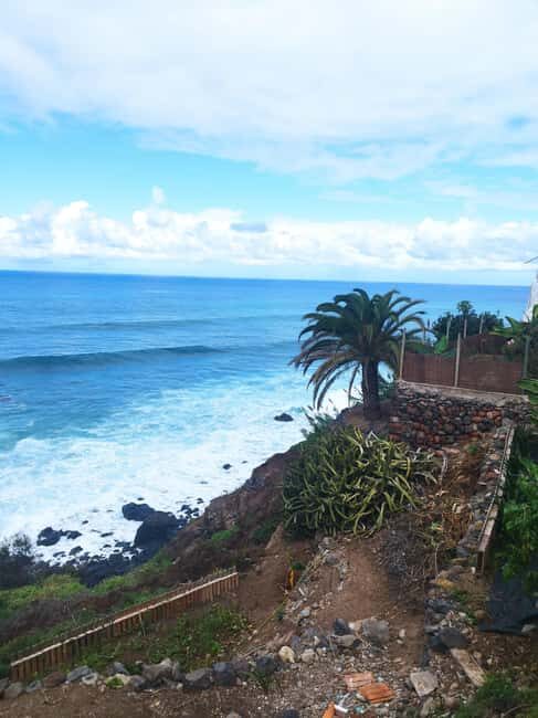 90-minute walking tour overlooking Barranco Ruiz, Tenerife - Who Would Love This Tour?