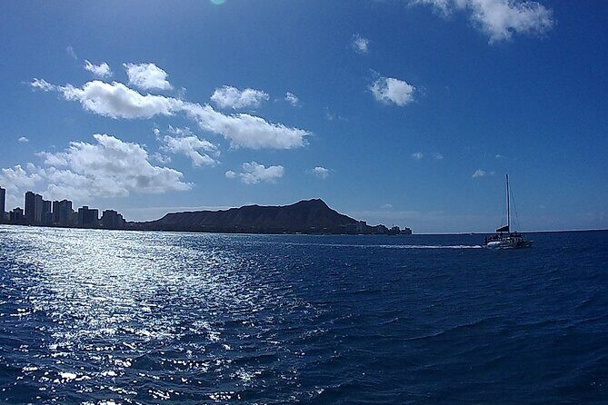 9am Turtle Canyon Snorkel Adventure - FAQs