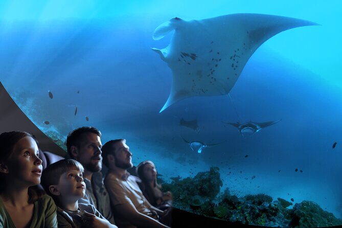 A 360° Immersive Ocean Movie Experience (Catalina Island) - Key Points