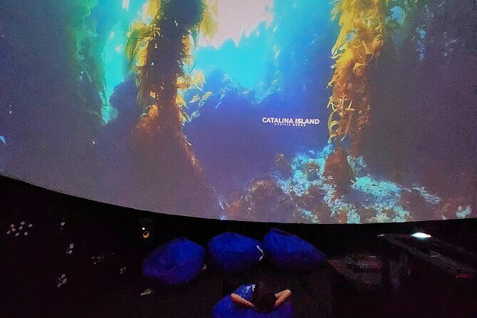 A 360° Immersive Ocean Movie Experience (Catalina Island) - The Itinerary in Detail
