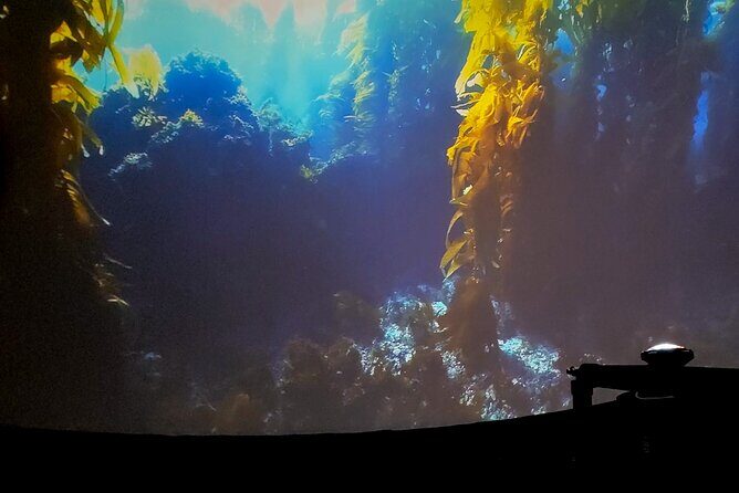 A 360° Immersive Ocean Movie Experience (Catalina Island) - Final Thoughts