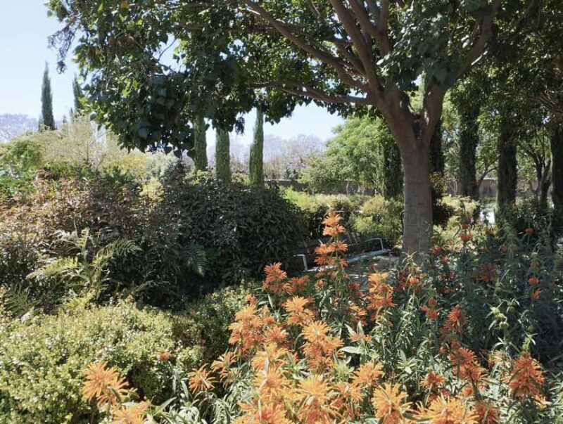 A bespoke piece and a message from your connection to nature  in Valencia - The Value of This Experience