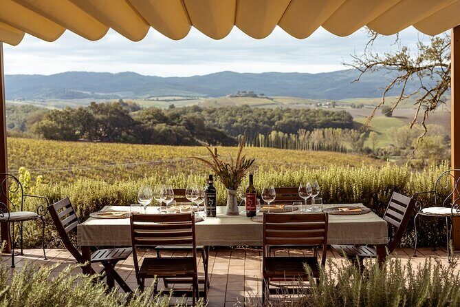 A Brunello Cooking Class with Vineyards View Winery - Who Will Love This Experience