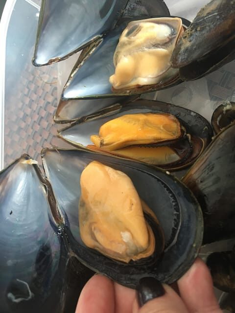 A Coruña: Local Market Shopping and Cooking Workshop - Final Thoughts: Is It Worth It?