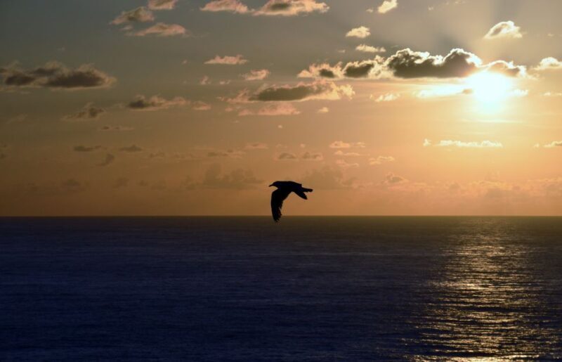 A Coruña: Private Guided Walking Tour - Key Points