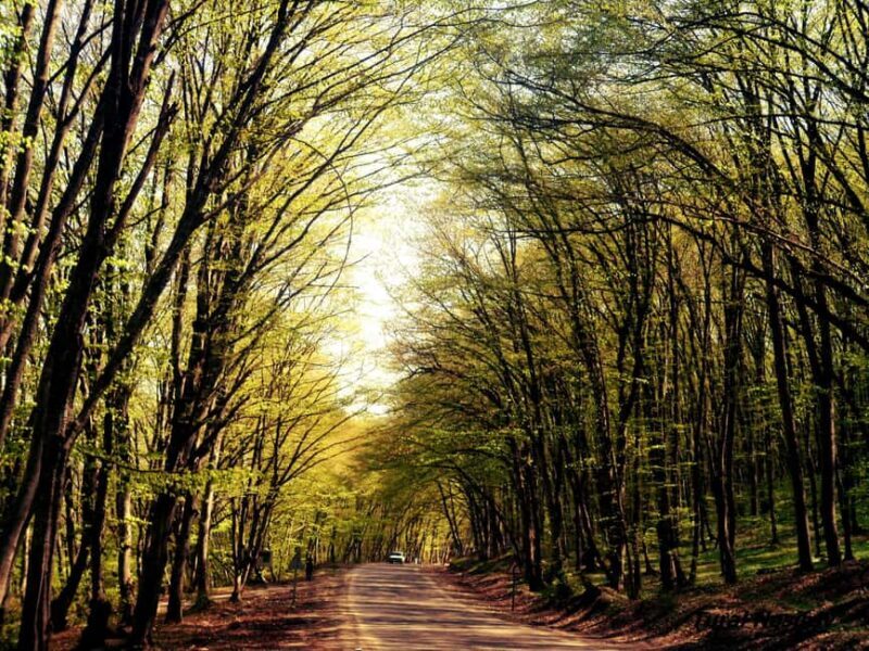 A Culinary Journey Through History and Nature - Who Would Enjoy This Tour?