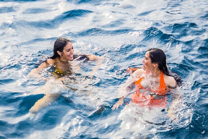 A day at Sea aboard Mundo Marino Catamaran in Valencia - Final Thoughts