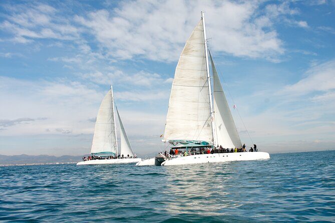 A day at sea from Dénia or Jávea with Barbecue aboard the Catamaran - What the Tour Offers in Detail