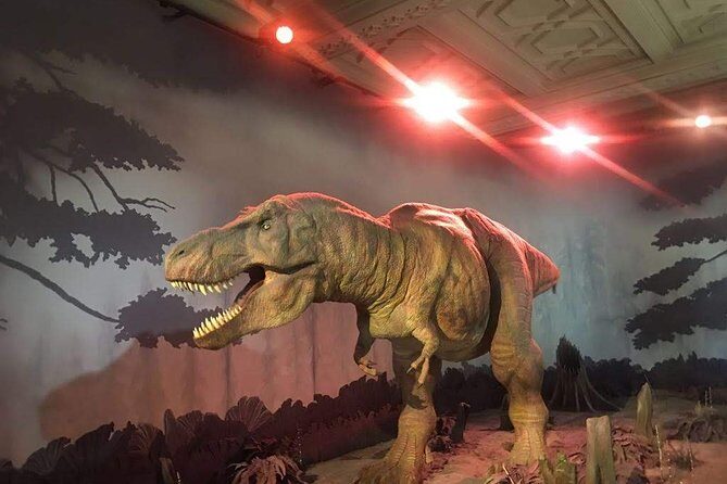 A Day at the Museum - Natural History Museum London - Pricing & Value Analysis