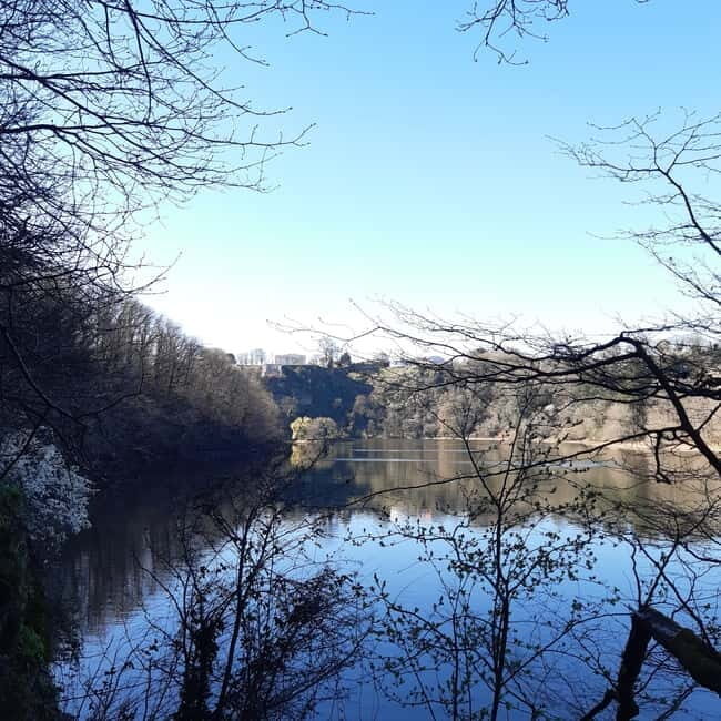 A Day Hike in Mervent Forest (Vendée) - Why This Tour Might Be Right for You