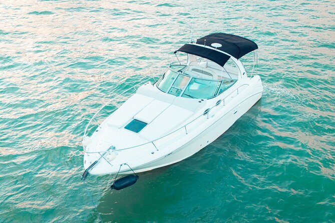 A Day in Miami Paradise - Is It Worth the Price?