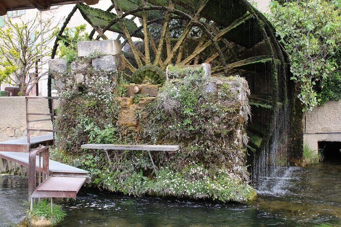 A day in Provence: Les Baux de Provence, Saint Rémy and more - Final Thoughts: Is This Tour Right for You?