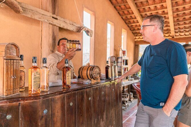 A Day in the Town of San Sebastián del Oeste - Who Is This Tour Best Suited For?