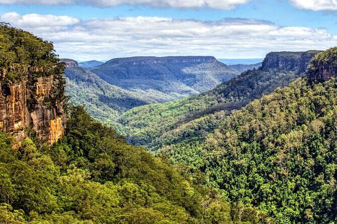 A Day In The Vineyards || Luxury Private Winery Tour From Sydney - Whats Included and Whats Not