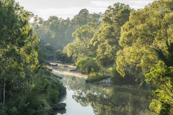 A Day In The Vineyards || Luxury Private Winery Tour From Sydney - FAQ