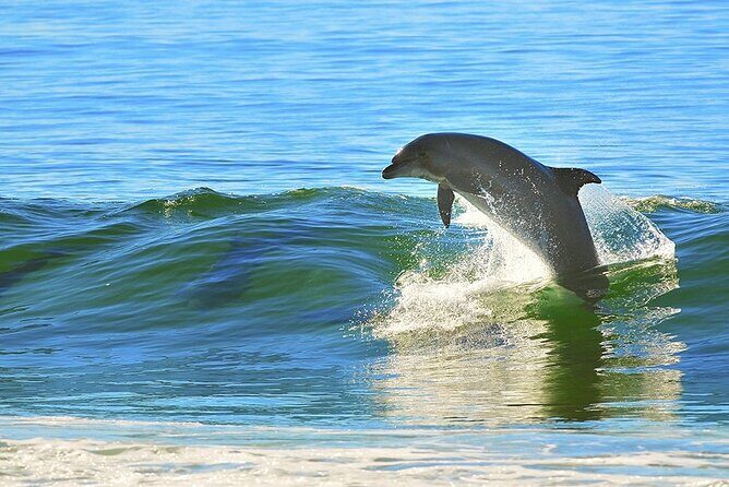 A Day on the Bay - Key Points