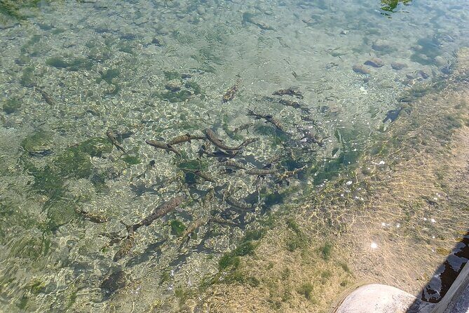 A day tour in Montanejos hot springs. - Final Thoughts