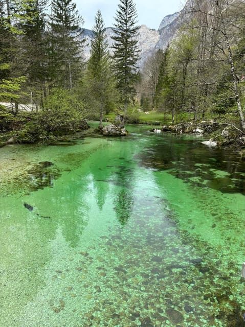 A day trip from Ljubljana: Magical nature and lake Bohinj - Exploring the Beauty of Lake Bohinj