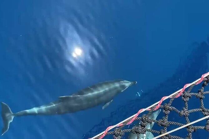 A Day's 3-Island Cruise Tour with Transfer - How the Experience Feels