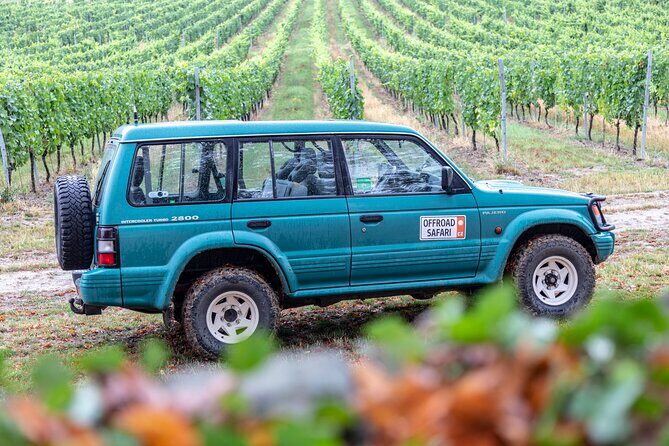 A delightful wine tasting in the scenic countryside with lunch - Summary: Who is This Tour Best For?