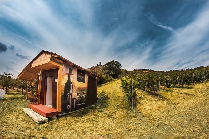 A delightful wine tasting in the scenic countryside with lunch - FAQs