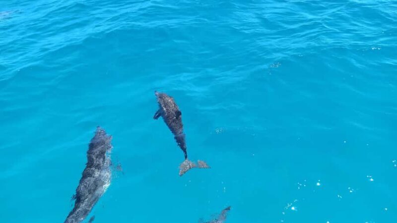 A full day to know Bora Bora with o-sea Bora Bora - Final Thoughts