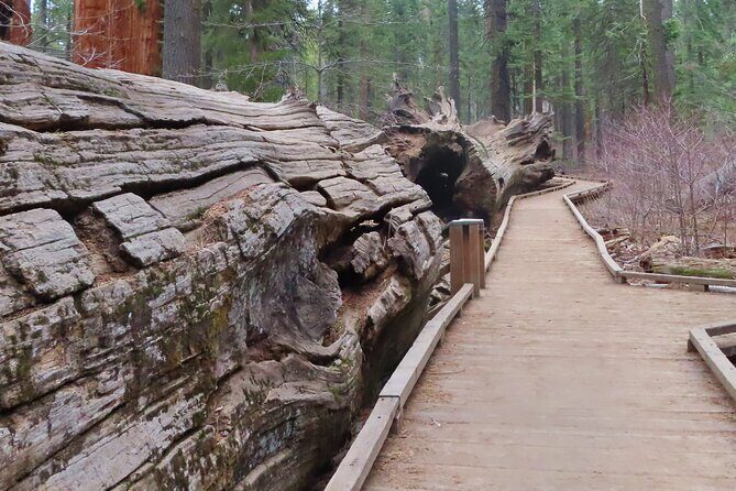 A Highway 49 Drive: A Self-Guided Audio Tour from Angels Camp to Jamestown - FAQs