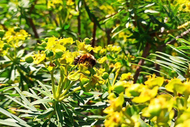 A hike to the Devil's Saddle - Key Points