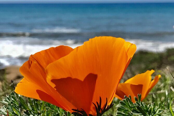 A La La Tour - Private Tour of California's Central Coast - The Experience of a Private Guide