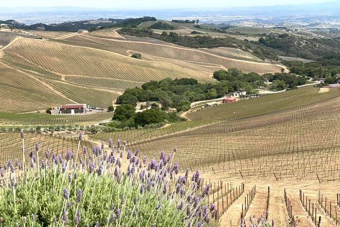 A La La Tour - Private Tour of California's Central Coast - Pricing and Practical Considerations