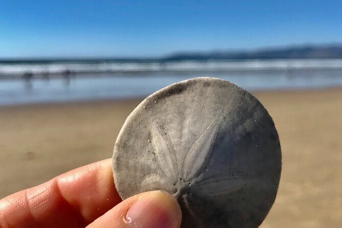 A La La Tour - Private Tour of California's Central Coast - Final Thoughts