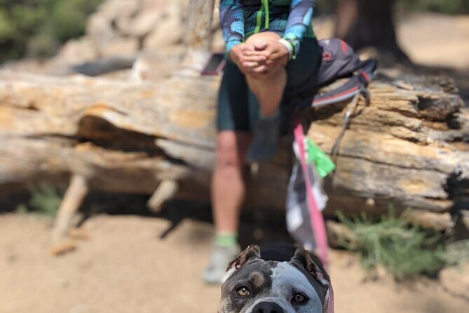 A Local's Favorite Hike in Big Bear with Lake Swimming Experience - Final Thoughts