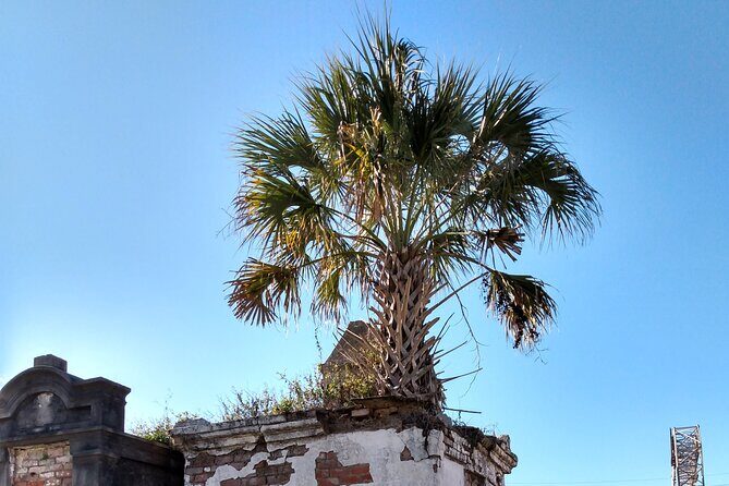 A Local's Garden District Tour - What We Love About This Tour